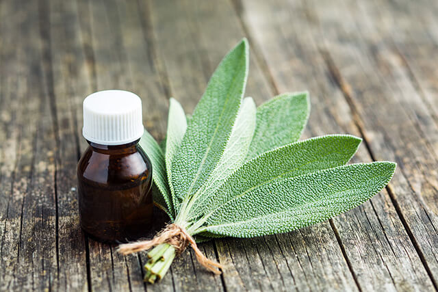 Computers & Electrical Supplies